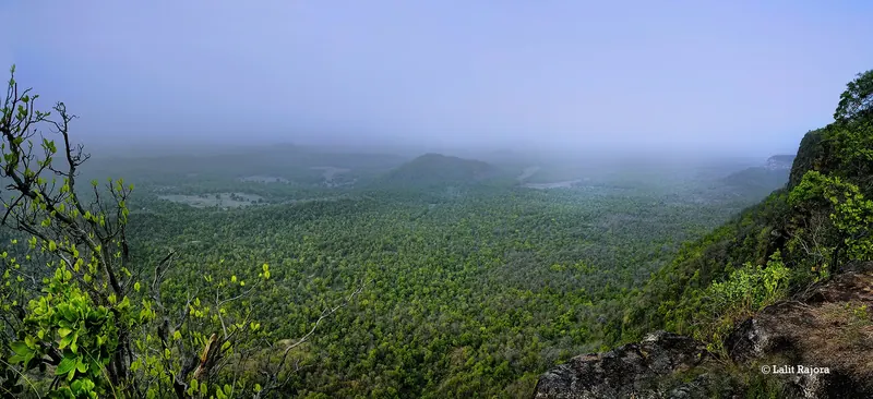 Misty hills of Central India