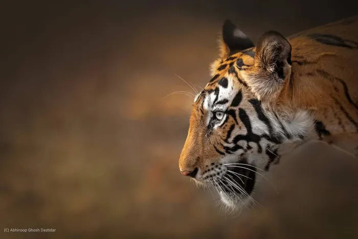 Kanha