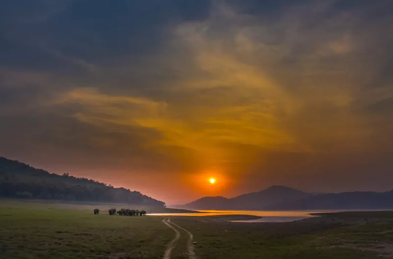 Corbett Dudhwa Tour